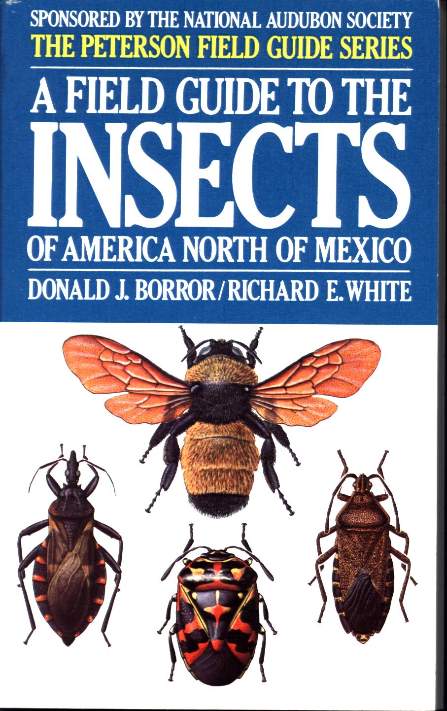 A FIELD GUIDE TO THE INSECTS&nbsp;OF AMERICA NORTH OF MEXICO. 