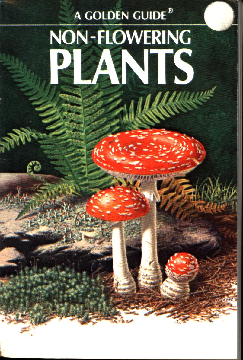 NON-FLOWERING&nbsp;PLANTS.